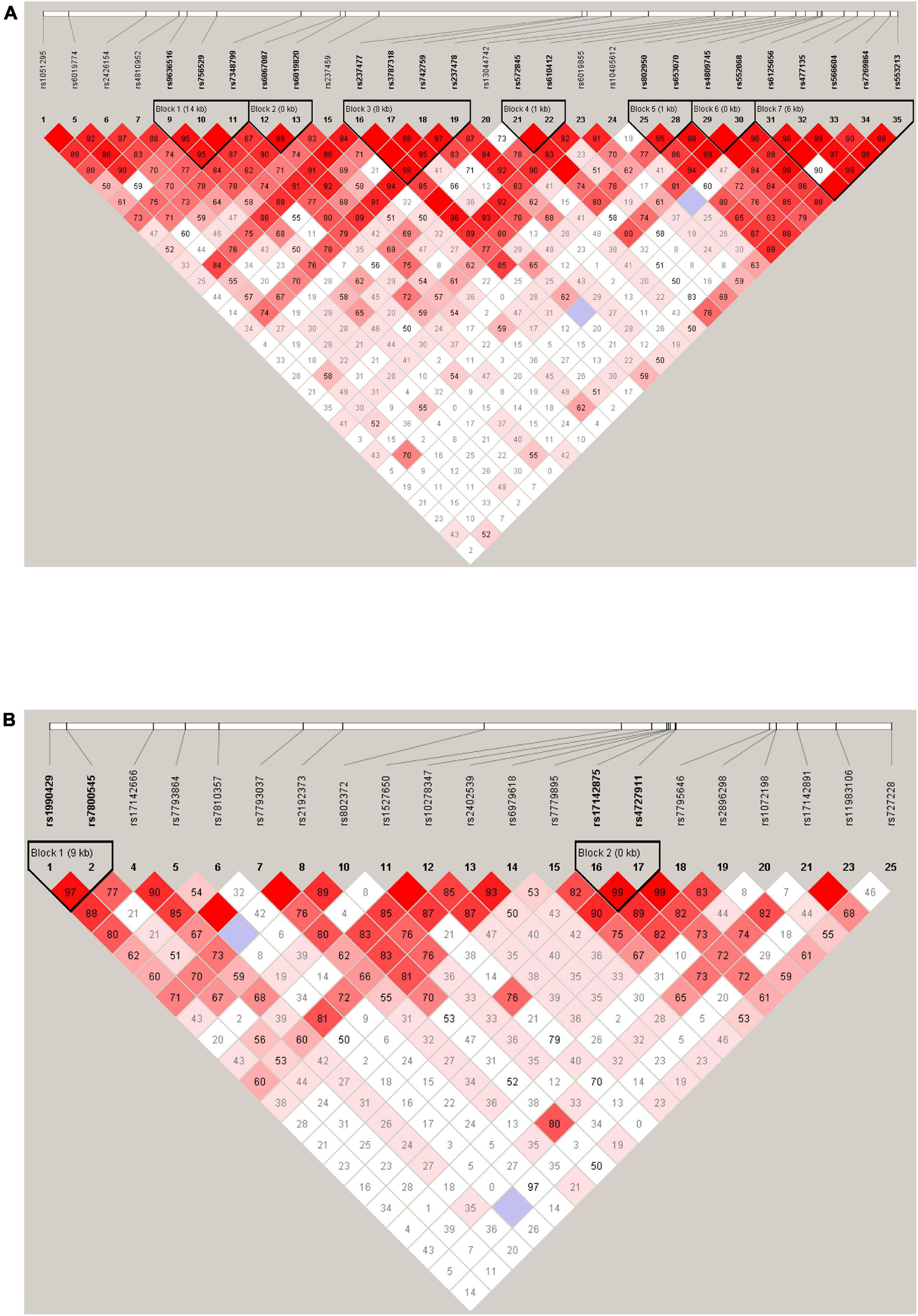 The association between gene polymorphisms in voltage-gated potassium channels Kv2.1 and Kv4.2 and susceptibility to autism spectrum disorder